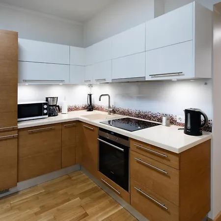 Apartment Embassy Center With Parking Riga